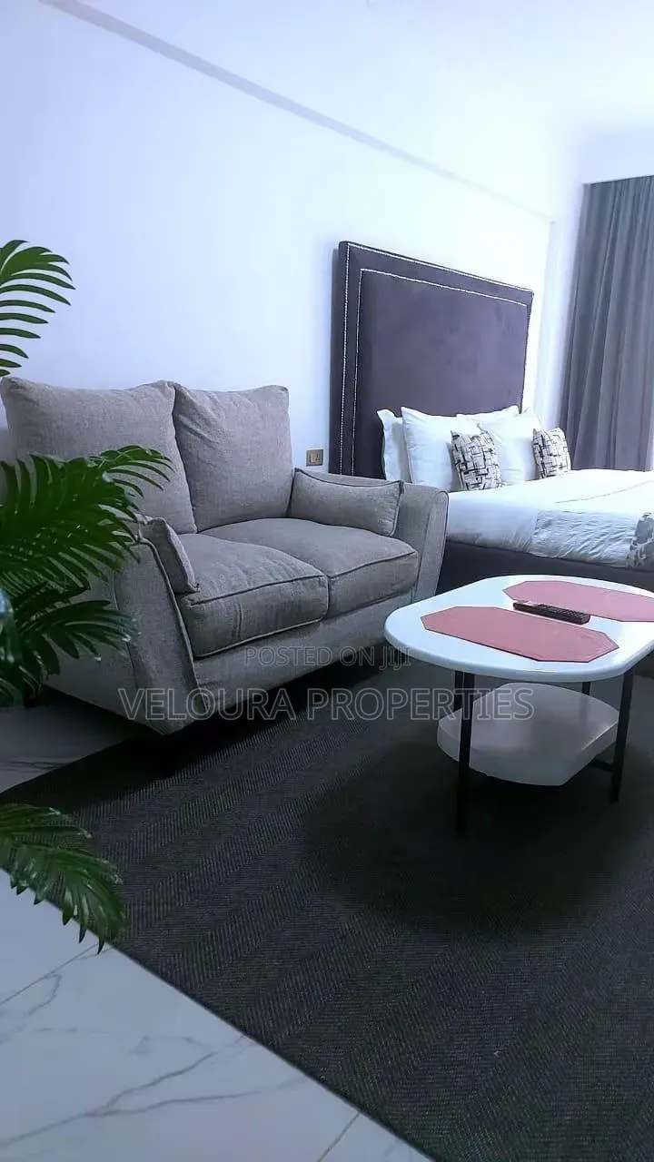 Furnished 1bdrm Bedsitter in Kilimani, State House Area for rent