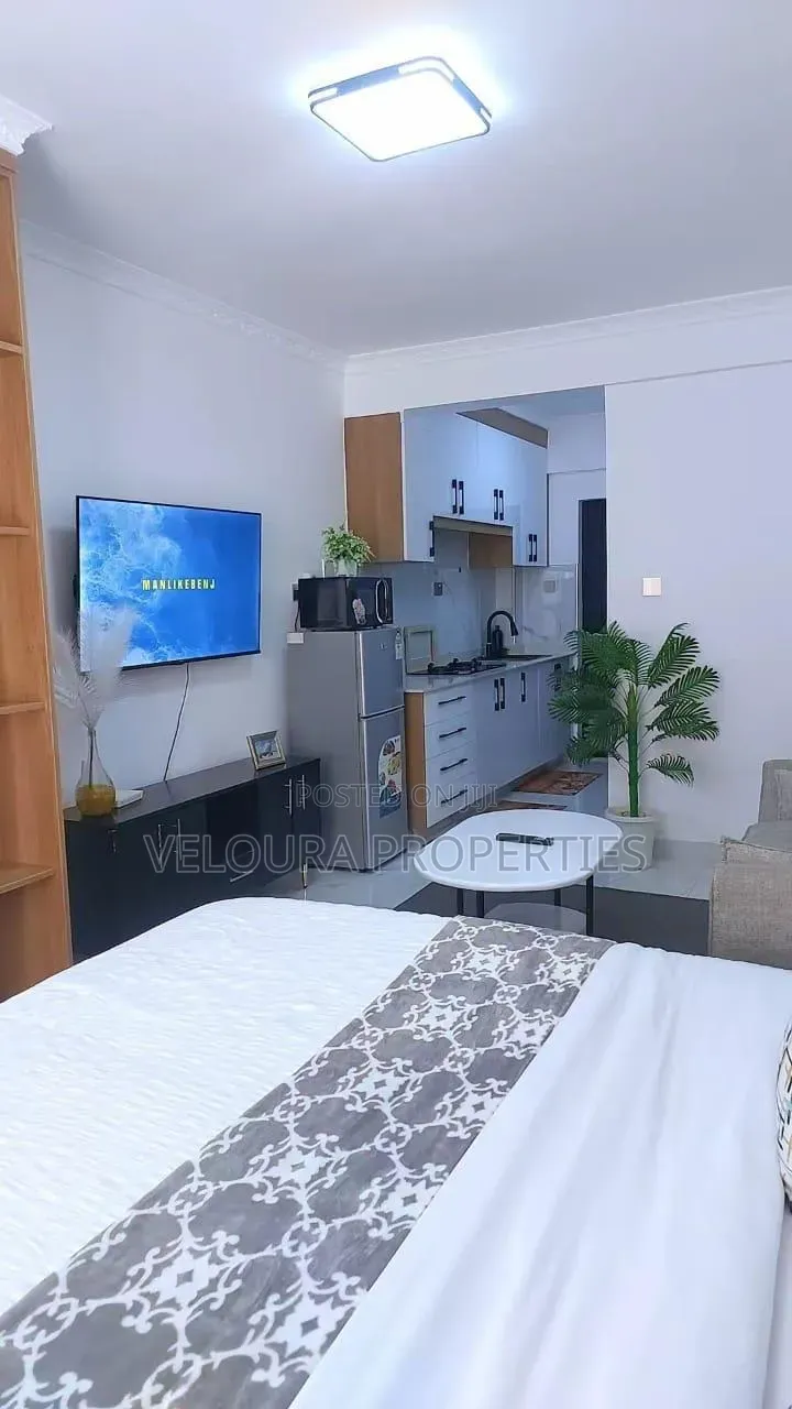 Furnished 1bdrm Bedsitter in Kilimani, State House Area for rent