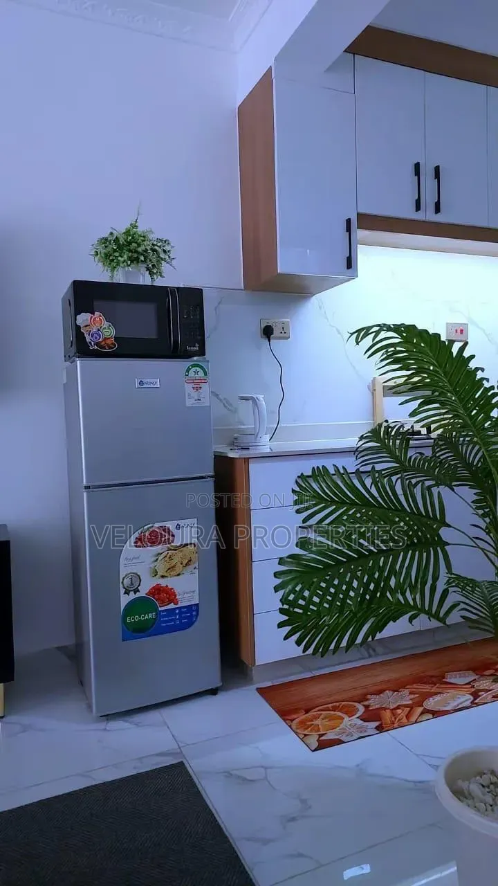 Furnished 1bdrm Bedsitter in Kilimani, State House Area for rent