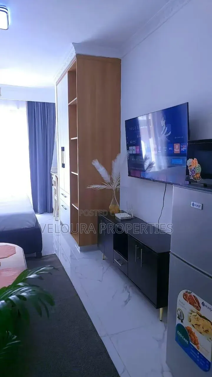 Furnished 1bdrm Bedsitter in Kilimani, State House Area for rent
