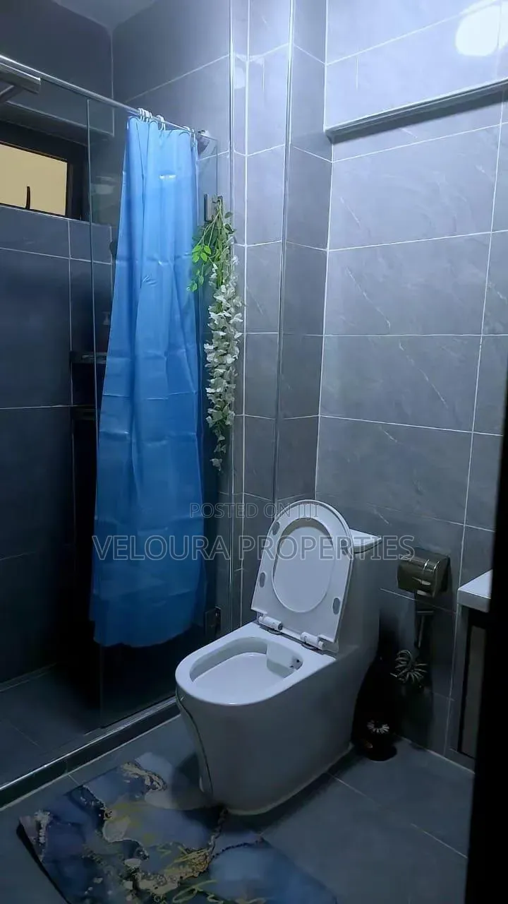 Furnished 1bdrm Bedsitter in Kilimani, State House Area for rent