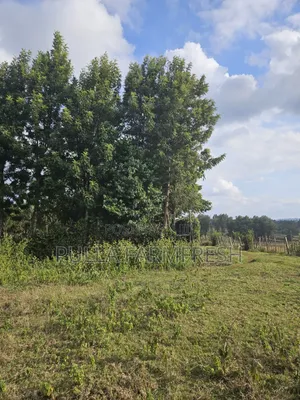Prime 13acres Kikuyu Ondori Title Ready