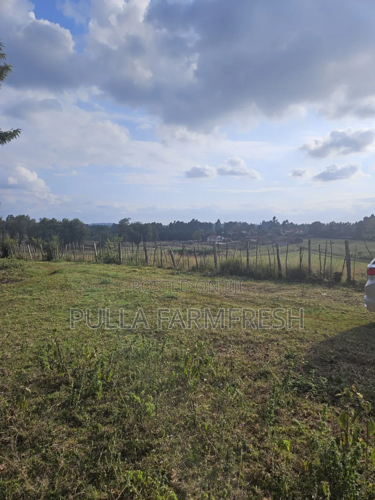 Prime 13acres Kikuyu Ondori Title Ready