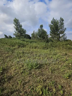 Prime 13acres Kikuyu Ondori Title Ready
