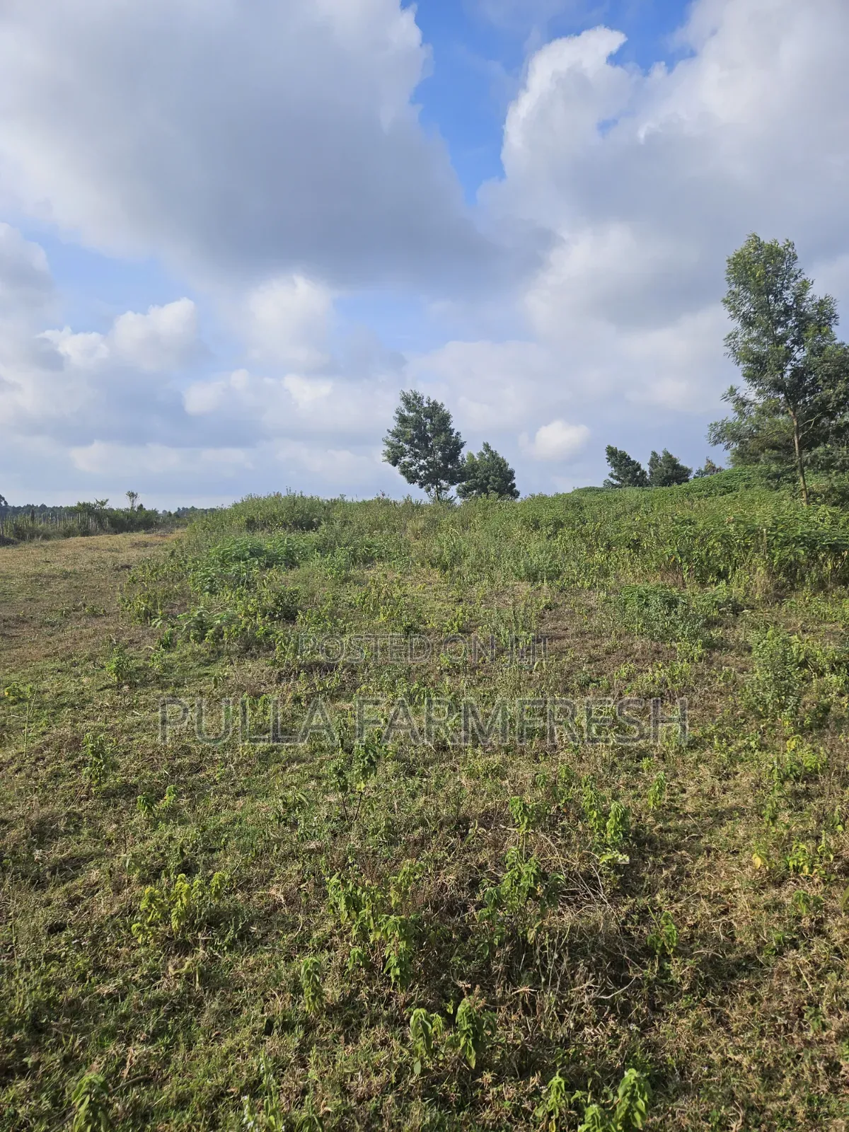 Prime 13acres Kikuyu Ondori Title Ready