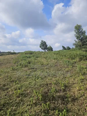 Prime 13acres Kikuyu Ondori Title Ready