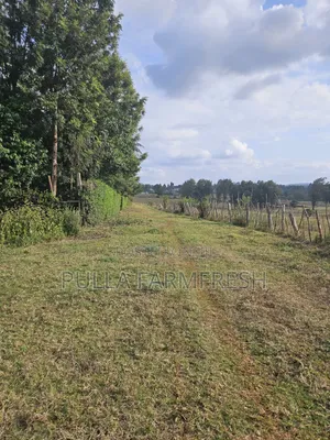 Prime 13acres Kikuyu Ondori Title Ready