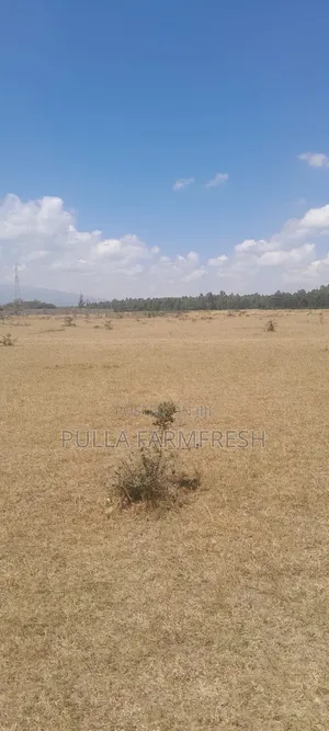 Prime 5acre Land in Nanyuki Ntrukuma With Title Deed