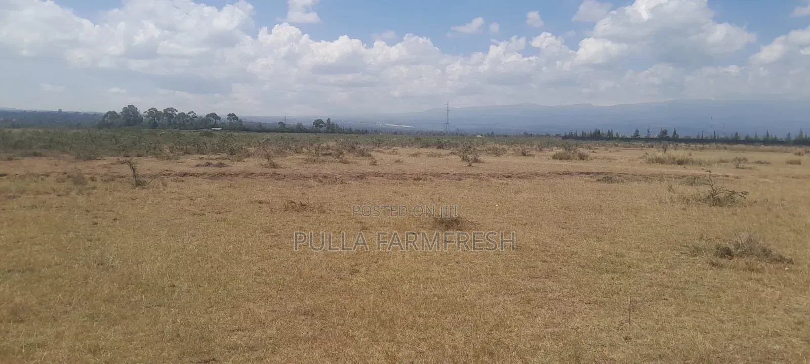Prime 5acre Land in Nanyuki Ntrukuma With Title Deed