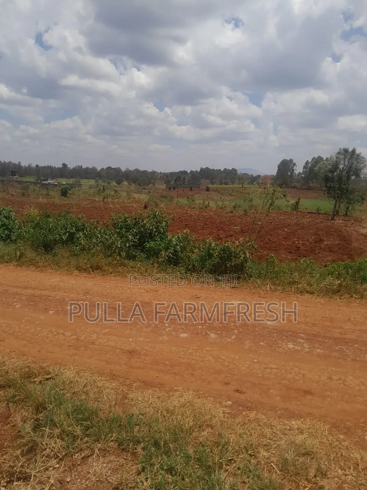 Prime 50by100 Plot in Ruiru Mugutha With Ready Title
