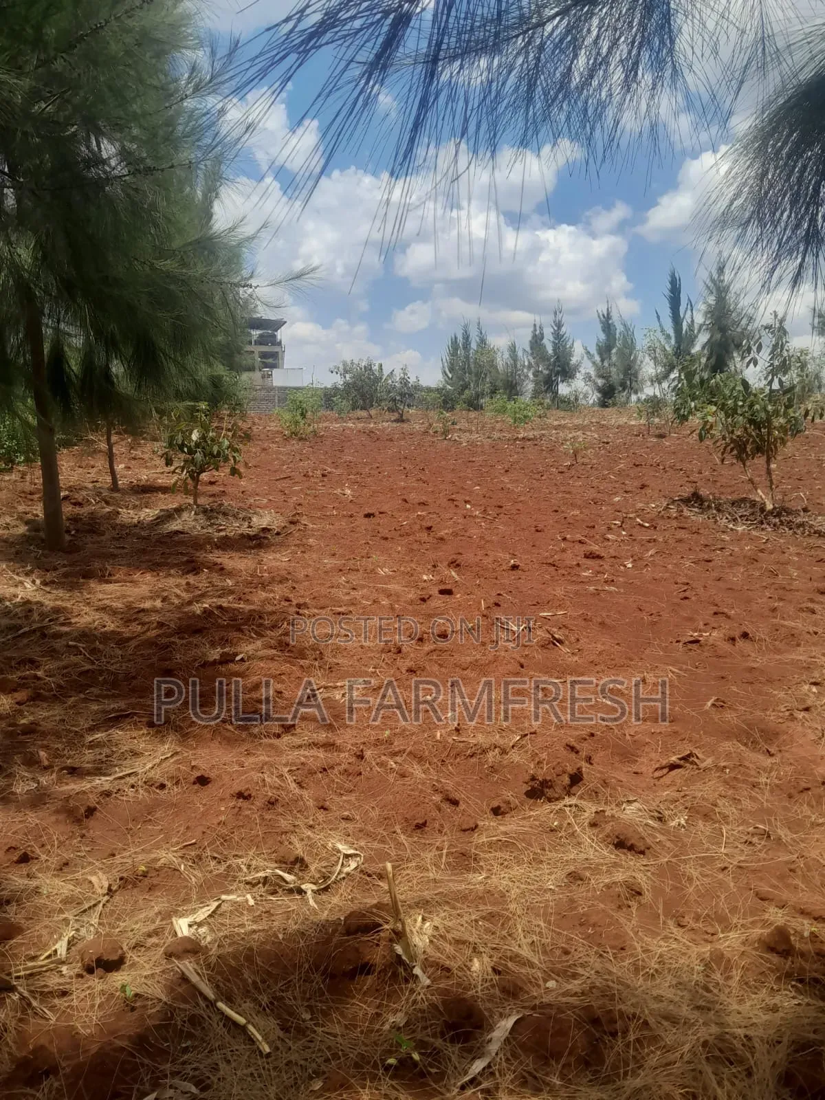 Prime 50by100 Plot in Ruiru Mugutha With Ready Title