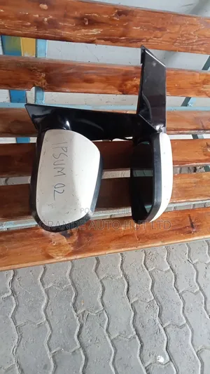 Toyota Ipsum Side Mirror