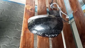 Toyota Ractis Side Mirror 2011