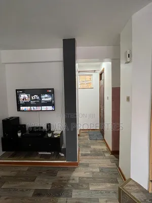 Furnished 1bdrm Apartment in Raphta Road for rent