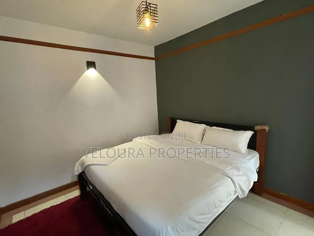 Furnished 1bdrm Apartment in Raphta Road for rent