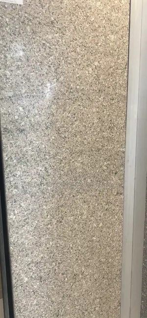 Light Hoody Granite