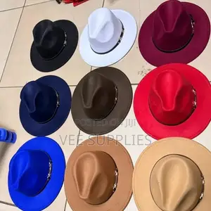 Unisex Wide Brim Fedora Hays