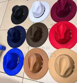 Unisex Wide Brim Fedora Hays