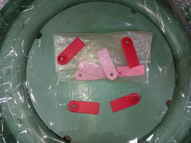 Ear Tag - Refined Surface Wholesale - main view