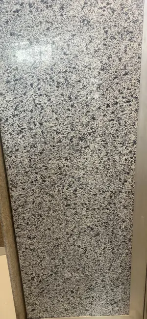 Sardo White Granite