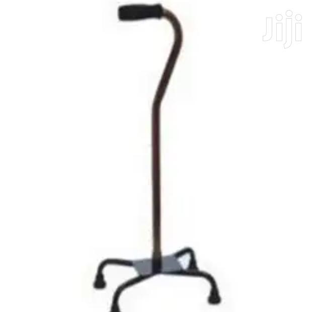 Quad Walking Stick - main view