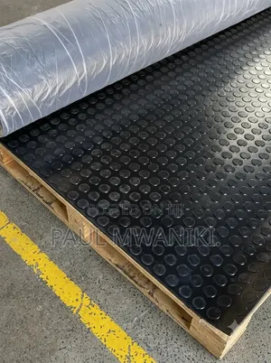 Premium Coin Studded Anti-Slip Rubber Mats