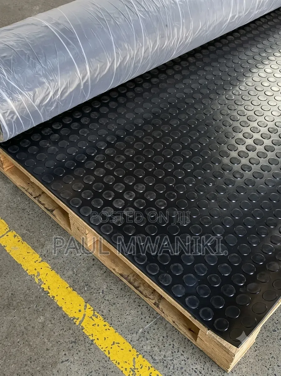 Premium Coin Studded Anti-Slip Rubber Mats