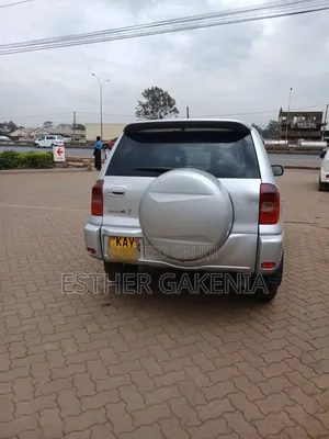 Toyota RAV4 2002 Silver