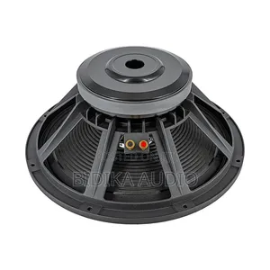 Derwel 15 Inch Naked Speaker Kenya — Raw PA Driver