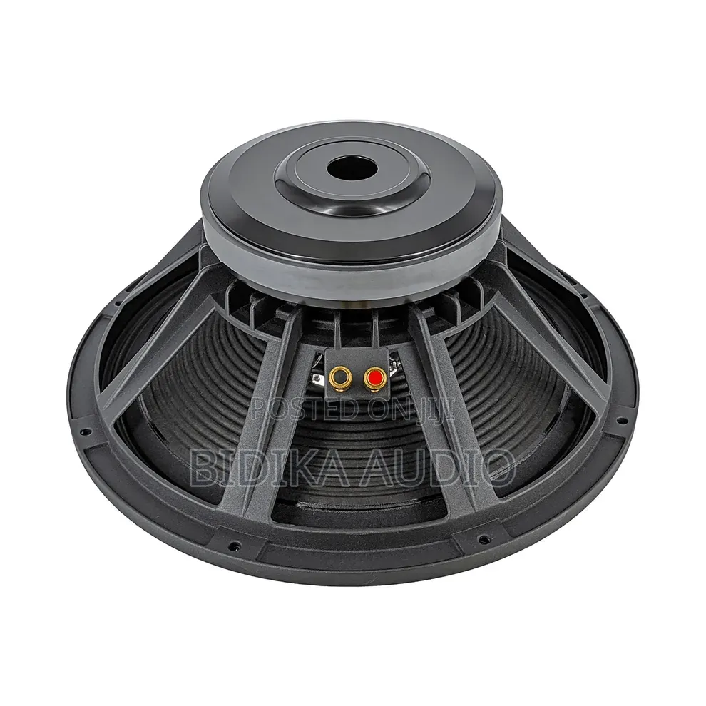Derwel 15 Inch Naked Speaker Kenya — Raw PA Driver