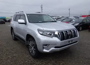 Toyota Land Cruiser 2019 Silver