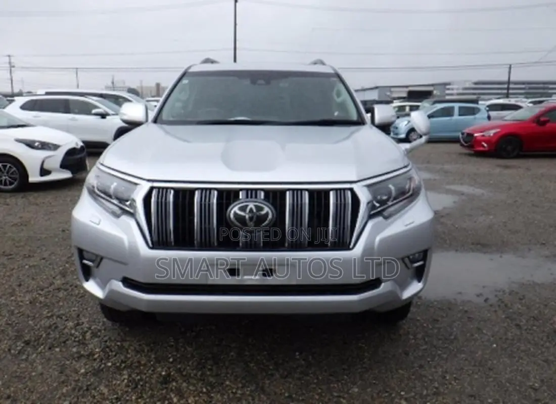 Toyota Land Cruiser 2019 Silver
