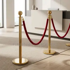 Generic Premium Queue Stanchions