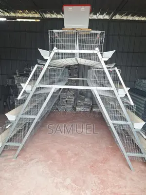 Chicken Cages