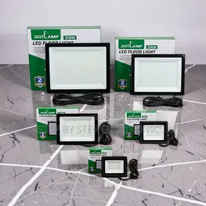 Energy Saving 30W,50W,100W,200W 300W Watts AC Electric Flood Lights