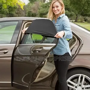 Car Window Mesh