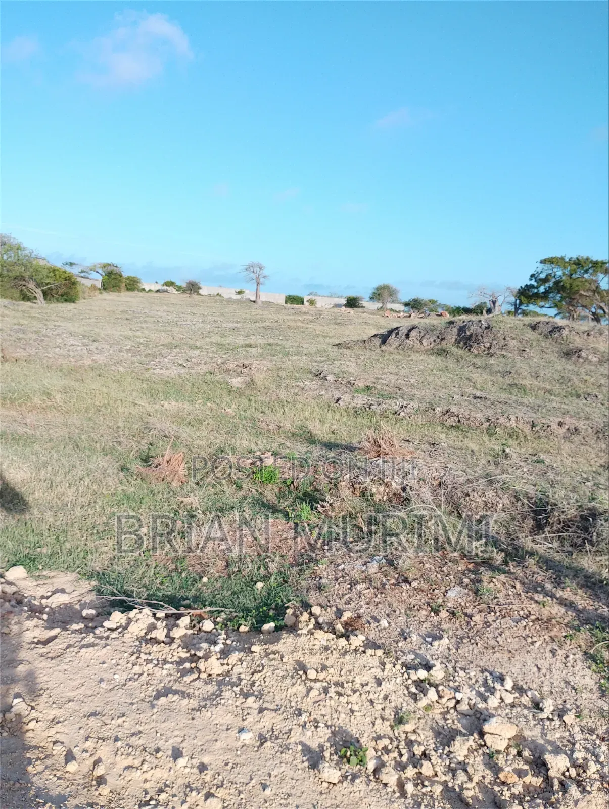 Beach Plot Phase 2 Malindi on Sale