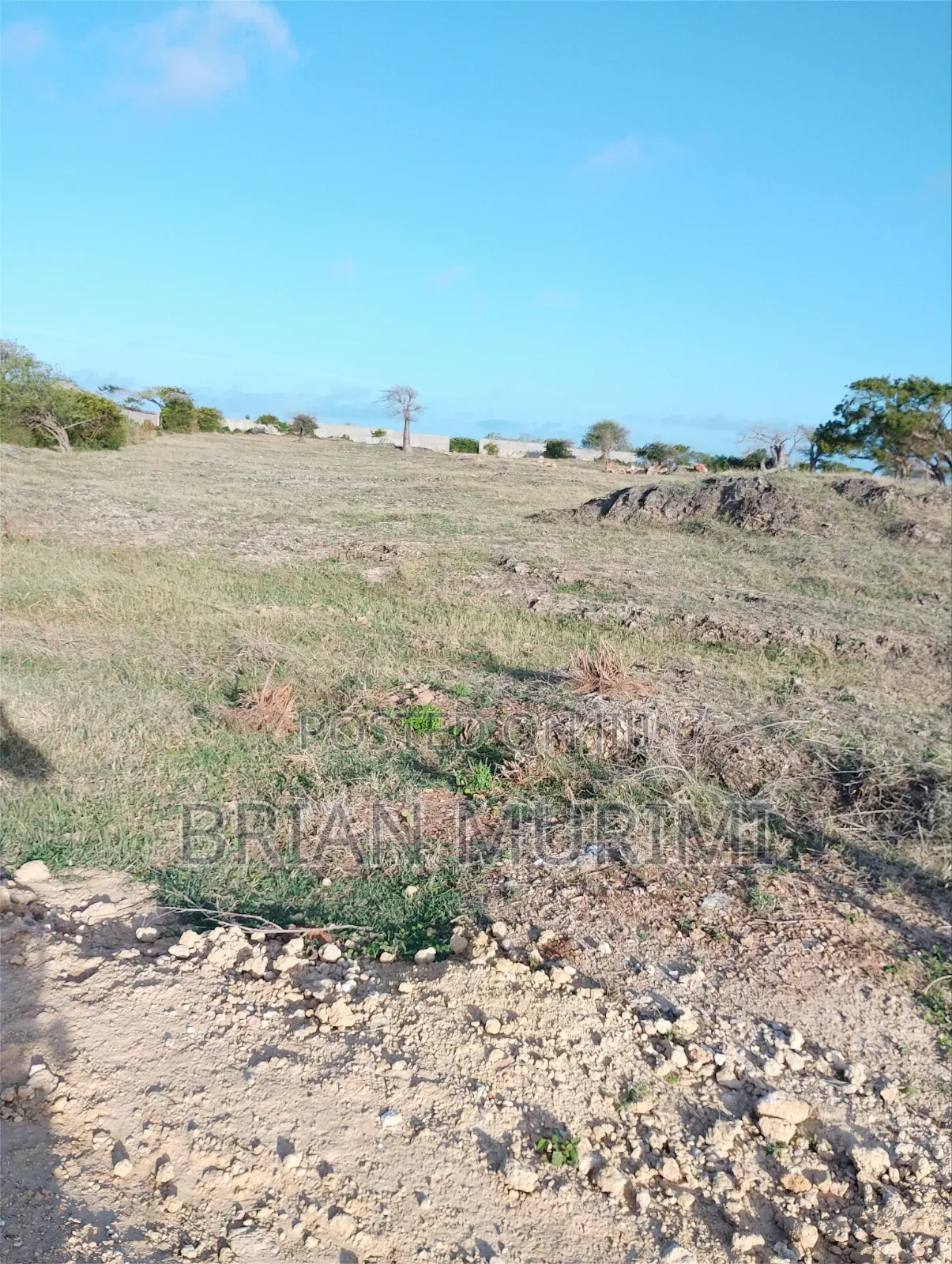 Beach Plot Phase 2 Malindi on Sale
