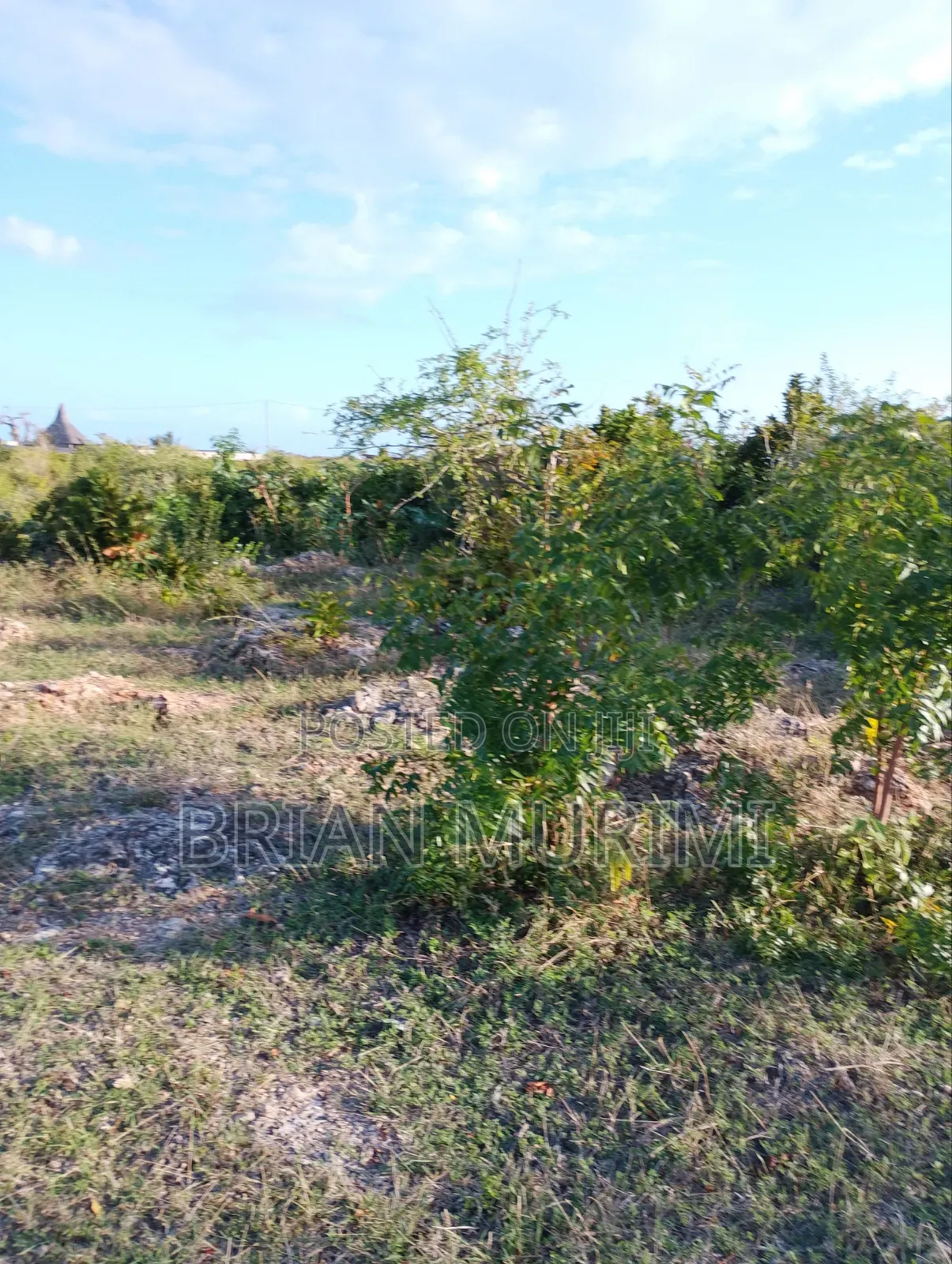 7 Acres Around the Beach on Sale