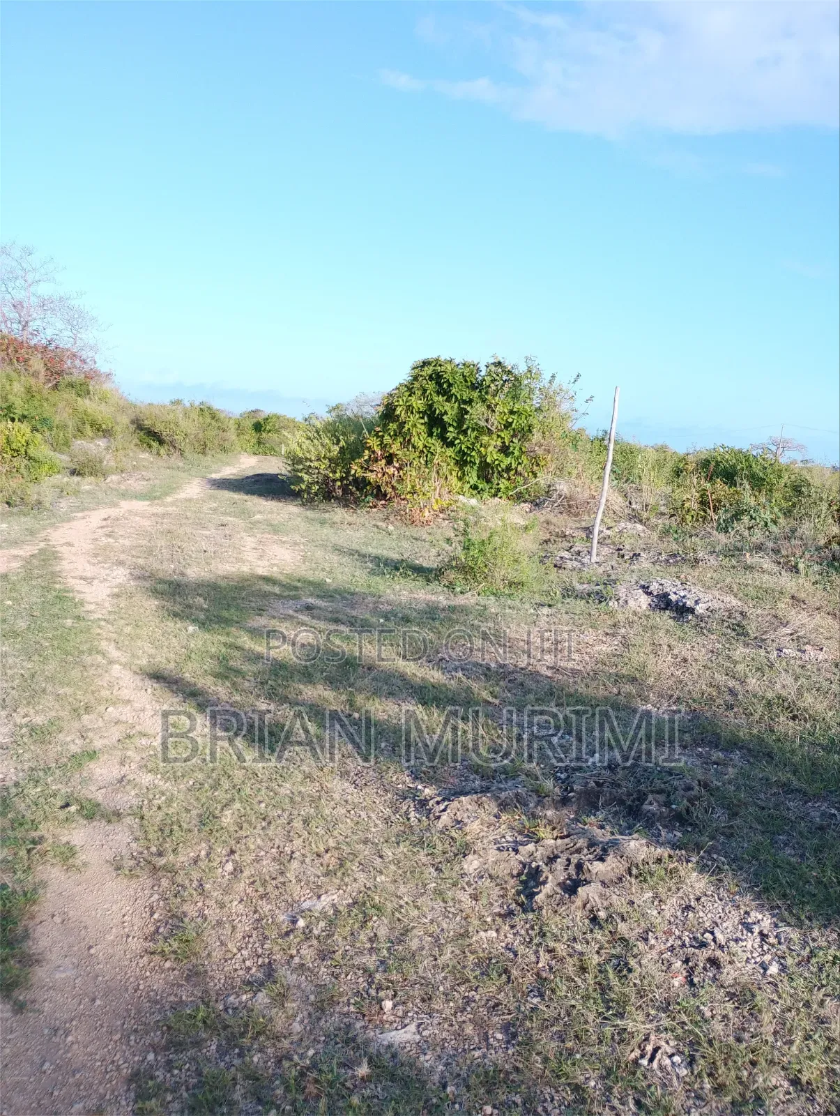 7 Acres Around the Beach on Sale