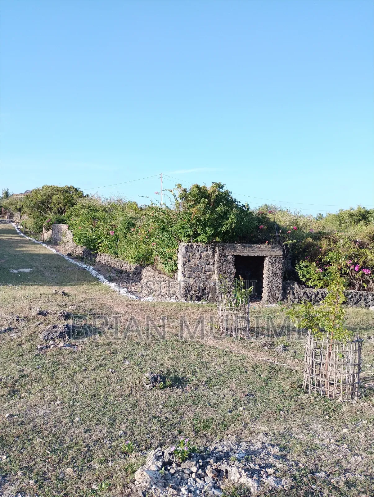 7 Acres Around the Beach on Sale