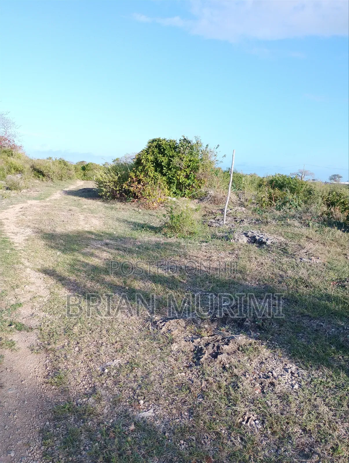 7 Acres Around the Beach on Sale