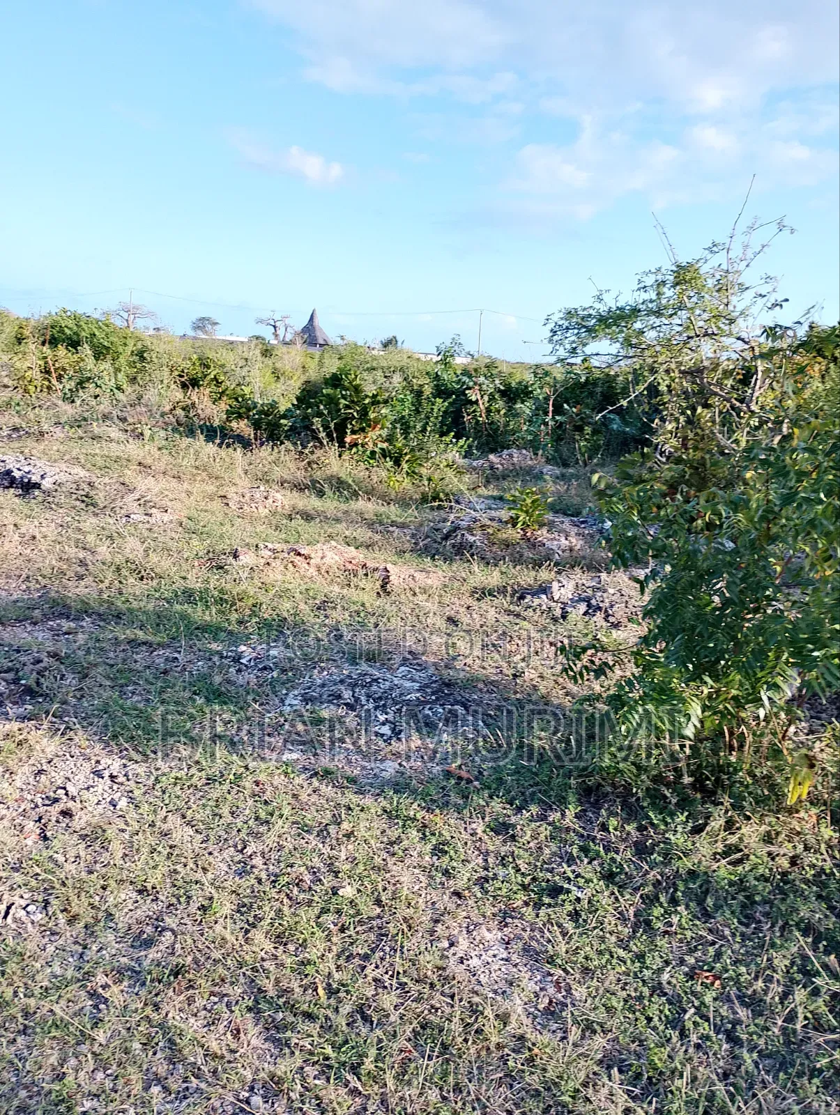 7 Acres Around the Beach on Sale