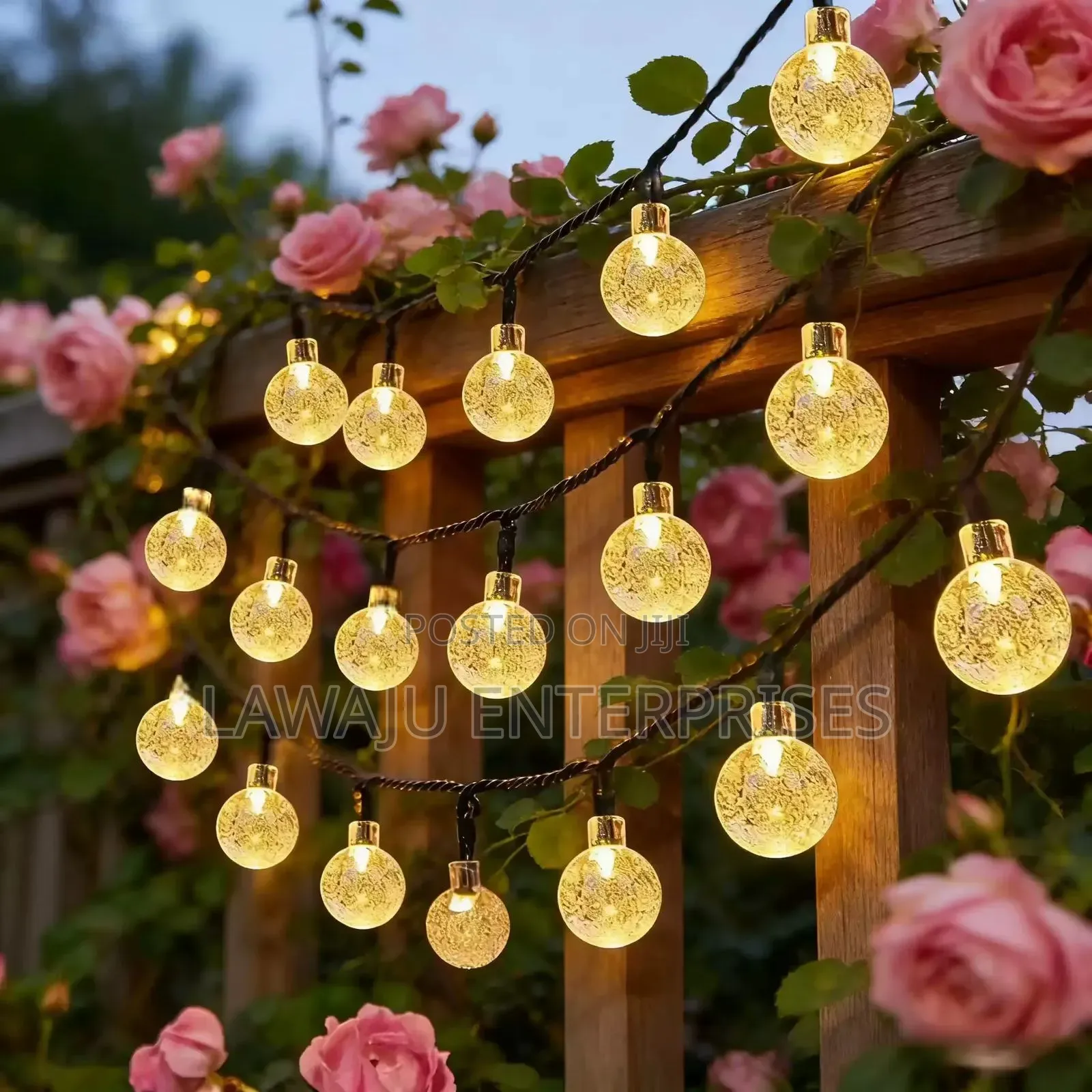 Solar Christmas Lights