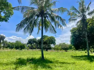 Prime One and Half Acre Plot for Sale in Mtwapa