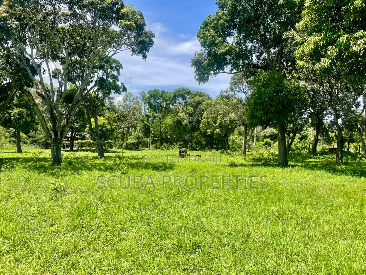 Prime One and Half Acre Plot for Sale in Mtwapa