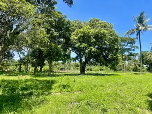 Prime One and Half Acre Plot for Sale in Mtwapa