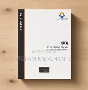 LVTOPSUN 2.56kwh Lithium-Ion Battery LVTS-256100