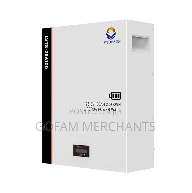LVTOPSUN 2.56kwh Lithium-Ion Battery LVTS-256100
