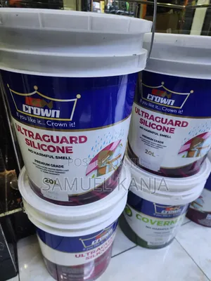 Silk Soft White Paint
